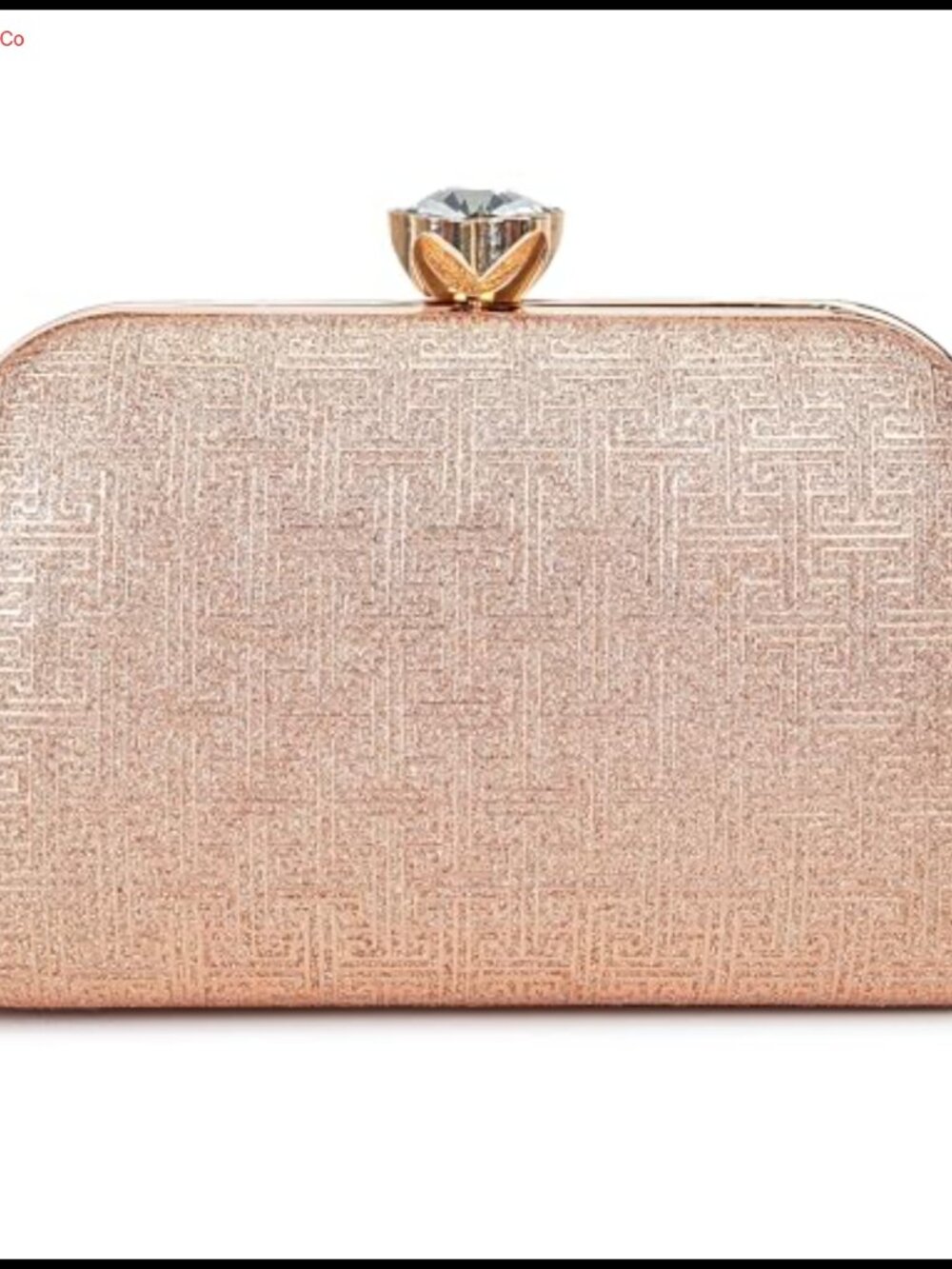 Elegant Hard Shell Evening Clutch Purse Detachable Gold Chain Strap